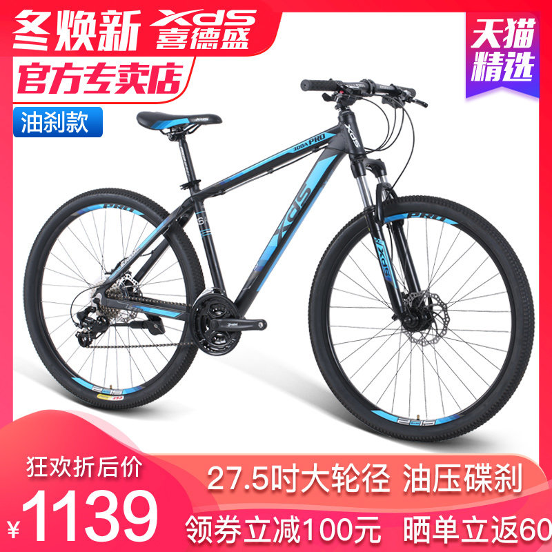 entry mountain bike