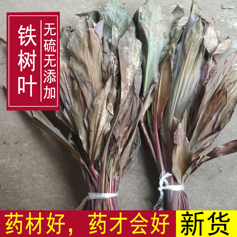 Red iron leaves, red banana leaves, iron leaves, red bamboo leaves, iron grass, red leaf iron tree 500g