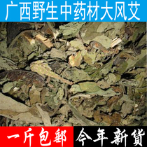 Guangxi wild Chinese herbal medicine Feng Feng Ai Aina incense cow ear Ai Feng Feng leaves big maple grass a pound