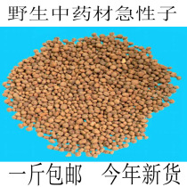 Wild Chinese herbal medicine Urgency Son Phoenix Flower fingernail floral fingernail flowers 500 gr