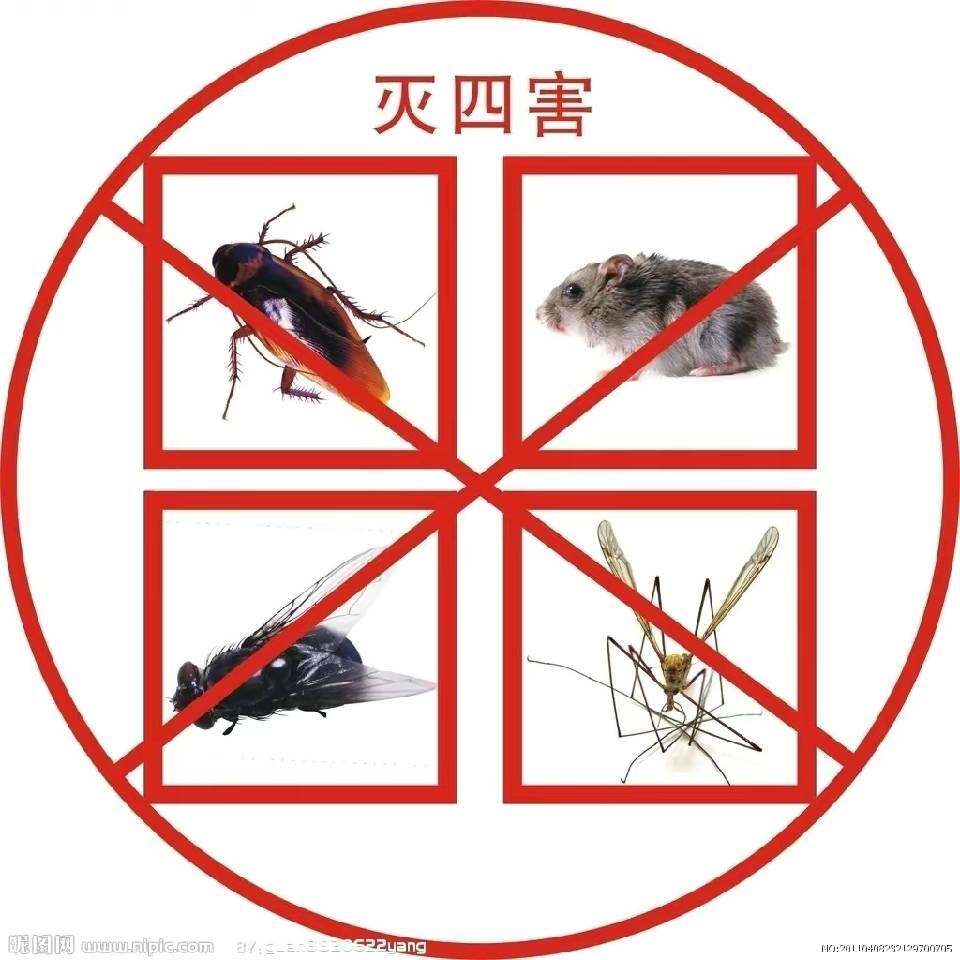 新嘉好运消杀用品批发商城