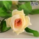 Mô phỏng hoa hồng giả hoa mây nhựa cây nho phòng khách điều hòa không khí ống quanh co sưởi ấm trang trí - Hoa nhân tạo / Cây / Trái cây hoa lan hồ điệp giả