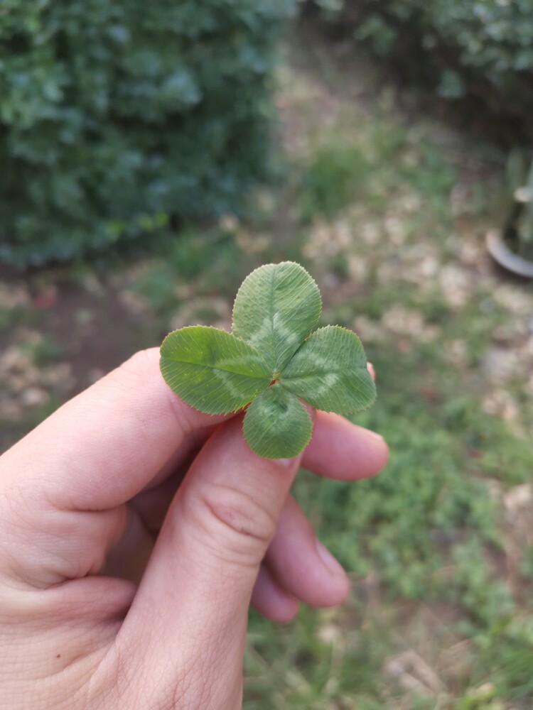 超级马丽7