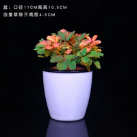 Пламя Мимон [Автоматический водопоглощающий бассейн]