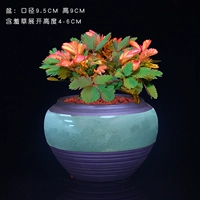 Пламя с мимозой [круглая керамика]