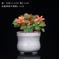 Пламя с мимозой [Subtao Glaze]