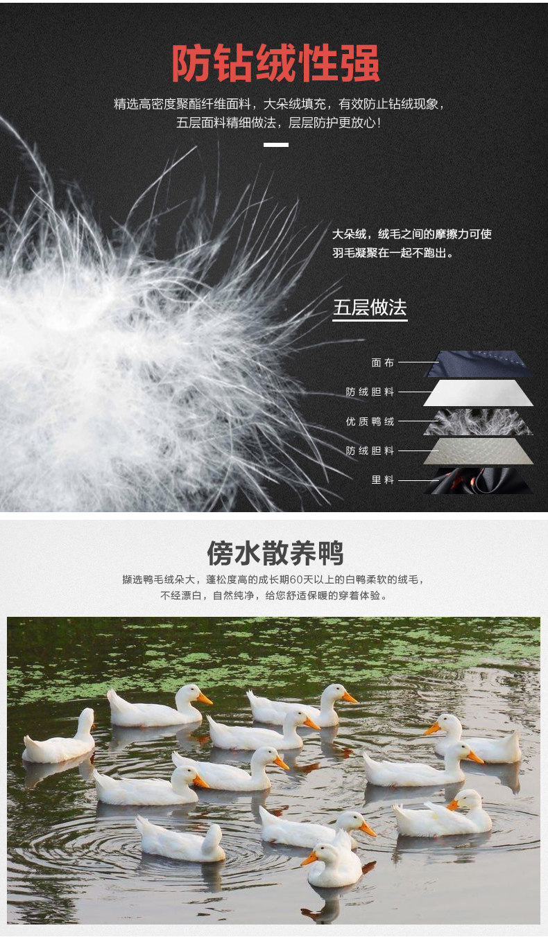 Blouson homme OBURGI - Ref 3121679 Image 9