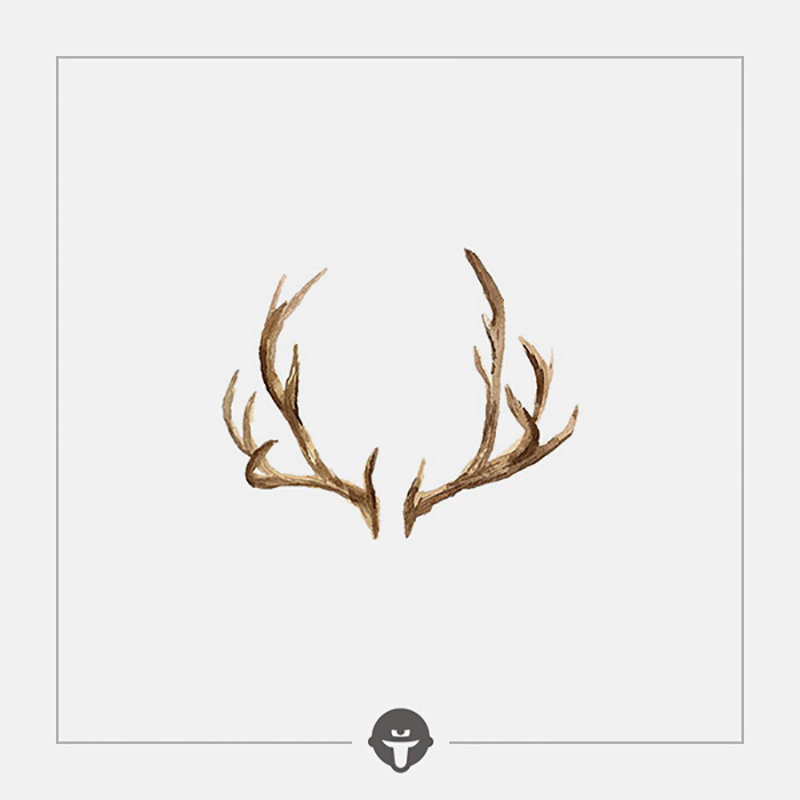 Revariant @become Deer Corner Original Brand Tattoo Sticker Waterproof Persistent Emulation Female Elk Color New Product