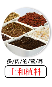 AK thịt và hoa làm vườn cung cấp thịt trong chậu công cụ kết hợp bộ tưới nước có thể di chuyển cây giống cây không khí thổi bầu ươm v6