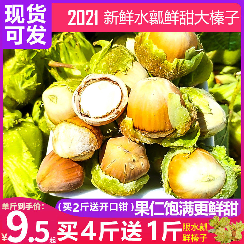 Yu Xiangming open large hazelnuts 500g Northeast New Year specialty original nut kernel skin thin fresh water flesh raw hazelnuts