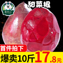 Wang Xiaoer Beetroot Fresh Red Beet Head Farmhouse Self-grown Vegetable Whole Box of Purple Vegetable Head 10 Jin Wholesale