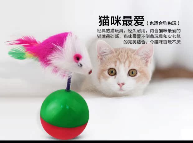 Pet mèo cung cấp đồ chơi mèo thỏ lông mèo vui mèo chuột hài hước mèo chó điên búp bê mèo yêu thích chơi đồ chơi chó mèo