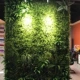 Ruili mô phỏng cây cỏ cây xanh tường nhựa giả hoa cỏ trang trí tường màu xanh lá cây trên tường hình nền tường - Hoa nhân tạo / Cây / Trái cây