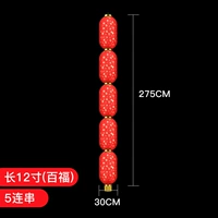Baifu#12 -Inch 5 Series