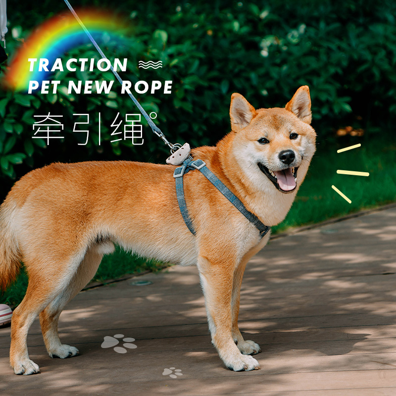 Dog Traction Rope Walking Dog Rope Dog Chain Subminiature Dog Pet Dog Traction Rope Walking Dog Rope Teddy Bibi Bear Traction Rope