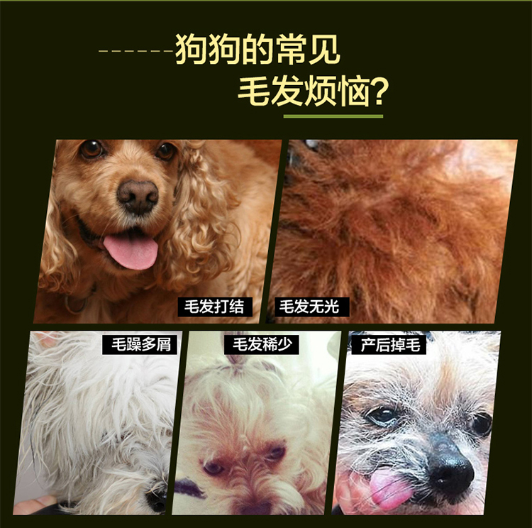 Nike Whale Pet Sản phẩm cho sức khỏe Pet Petithith Dog 	sữa cho mèo con uống