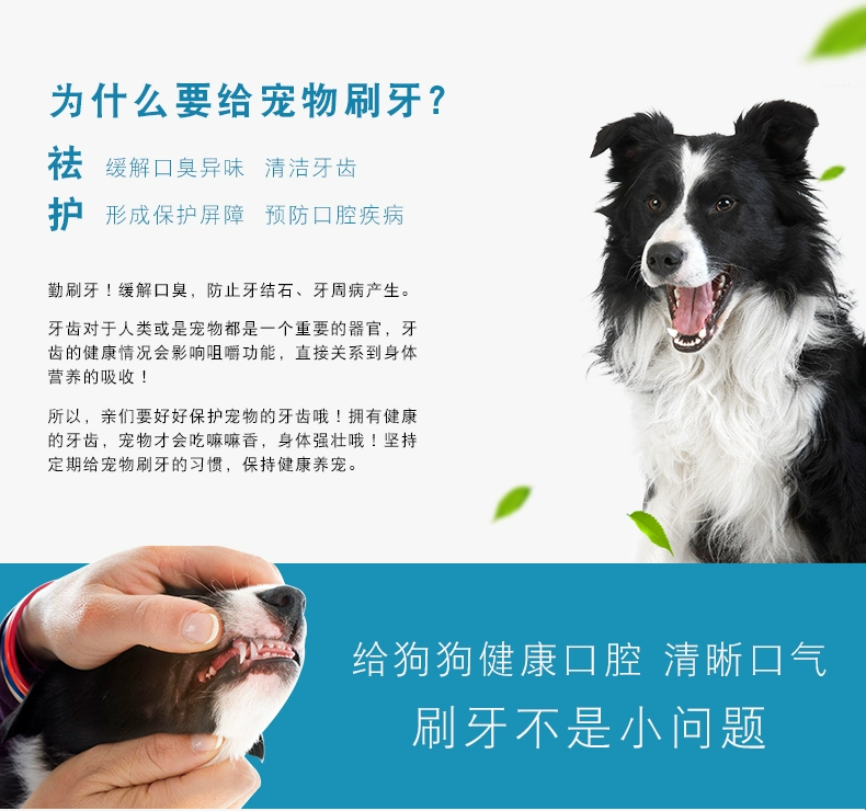 Bộ bàn chải đánh răng cho thú cưng Trixie Terui Shi của Đức Chó bông ngoài vật dụng làm sạch chống hôi miệng Bichon chiến đấu - Cat / Dog Beauty & Cleaning Supplies