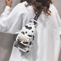 ins superfiery packets bag women 2022 new fashion canvas foreign air single shoulder bag chest bag cute cartoon skew satchel