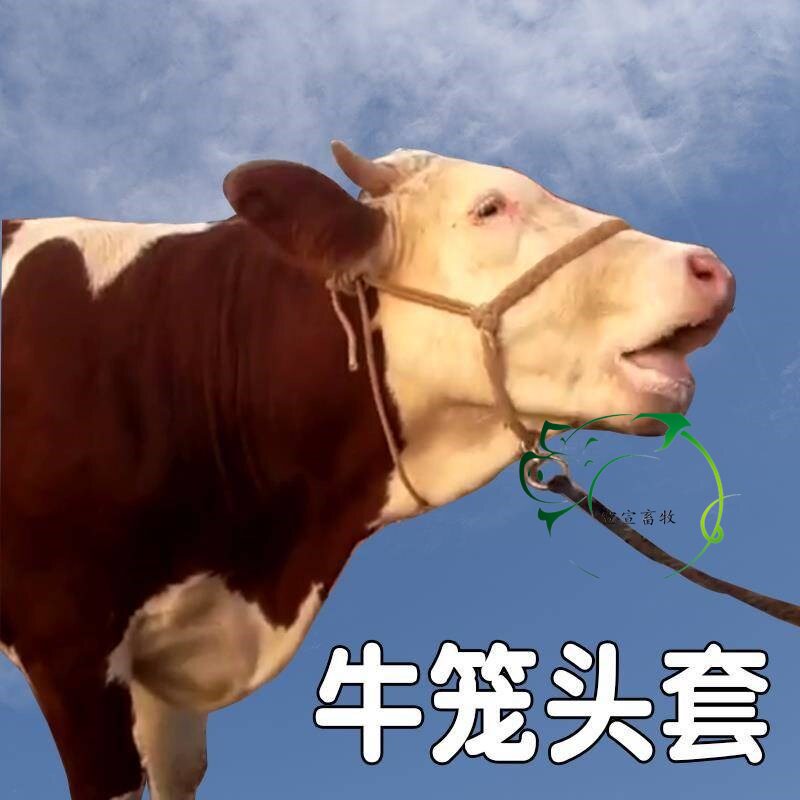 Cattle Cage Head Rope Bull Cage Headgear Tethered to Rope Bull Cage Head Bull with a bolted cow rope for cattle farm
