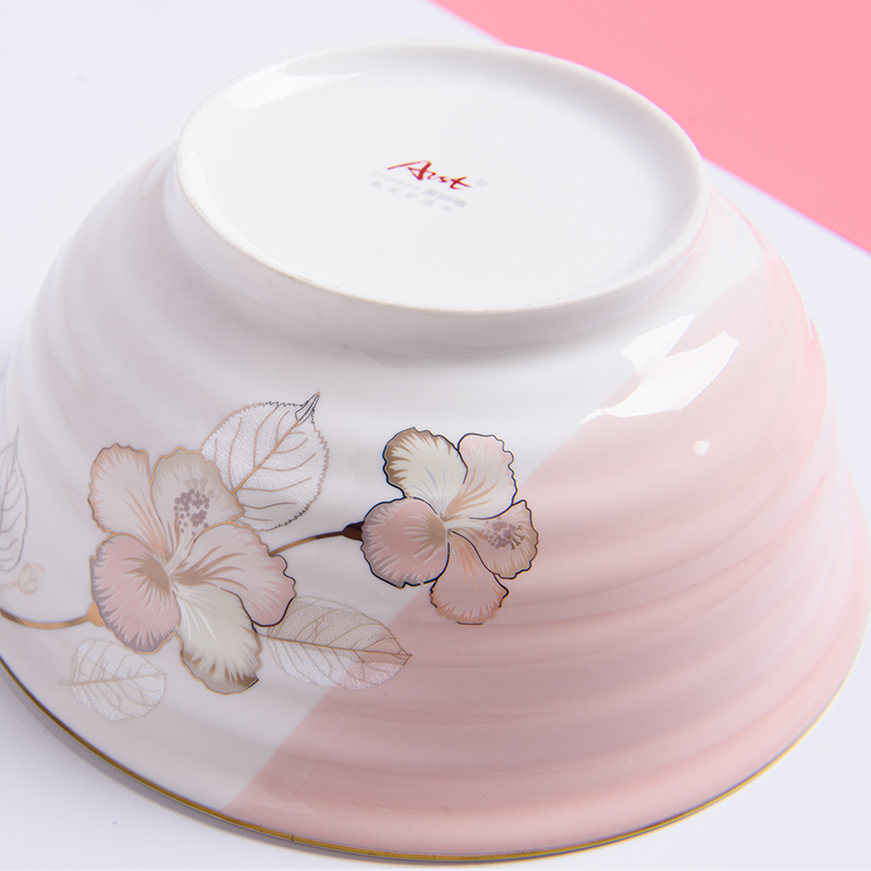 Ya cheng DE Japanese dishes, ceramic tableware portfolio fashion creative household bowl bowl plate of the spoon