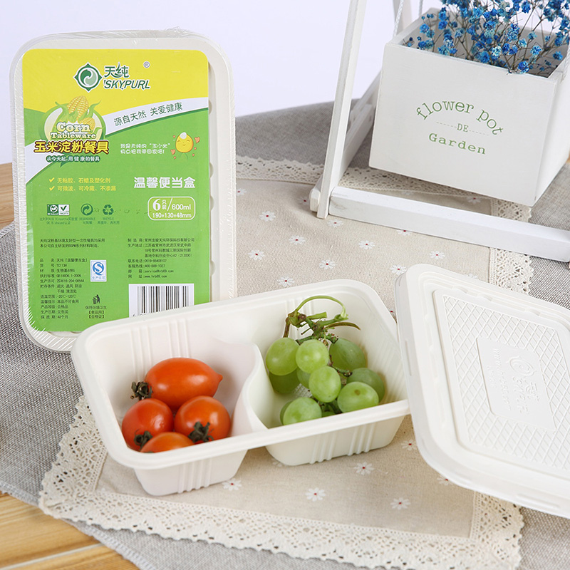Tianchun disposable lunch box lunch box packing box household thickened two grids extra to send fast food rectangular bento box