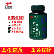 Xinlianxin pigeon medicine Daquan bacteria poison enteric capsules treatment of carrier pigeons racing pigeons Salmonella Escherichia coli intestinal medicine