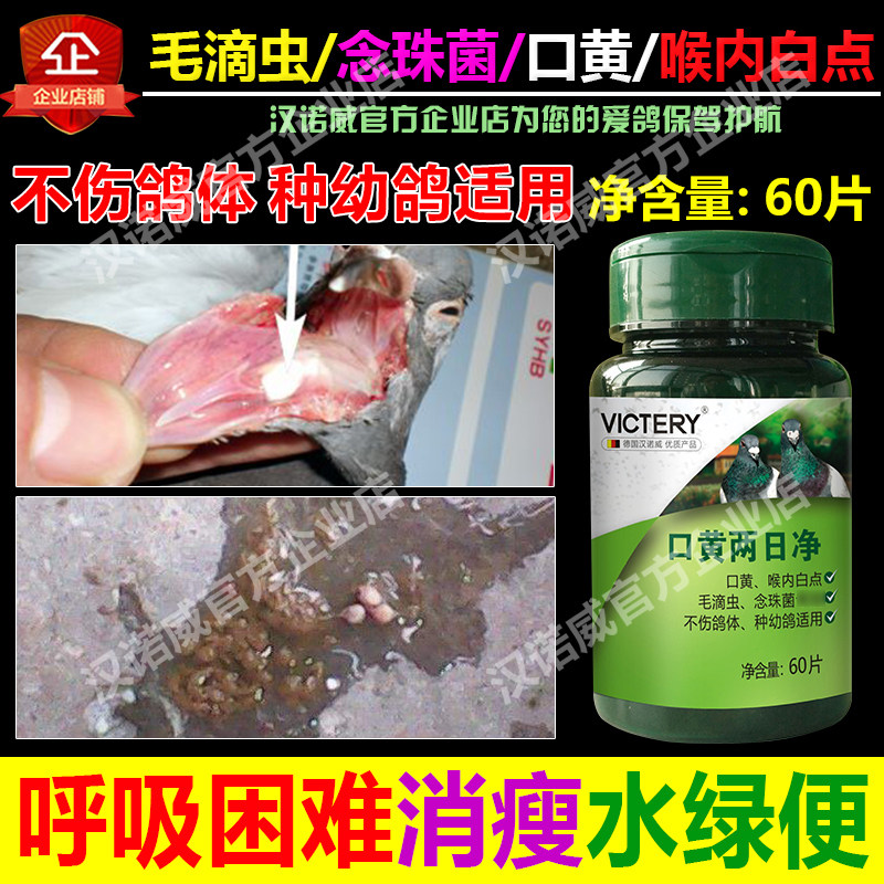 Pigeon medicine Pigeon medicine Daquan Common diseases Hanover mouth yellow net two-day net Carrier pigeon supplies Trichomonas trichomonas Larynx white spot