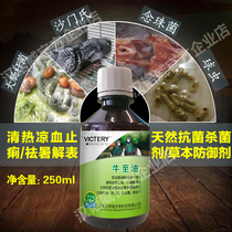 Hannover pigeon medicine pigeon oregano oil herb defense agent large intestine bar Candida coccidia bird pigeon medicine