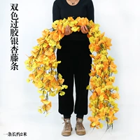 Два -колор светящиеся ротаны гинкго