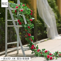 Вайолет 21 Железная проволочная роза Роза красная