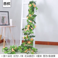 Кампания 11 Французская роза шампанское