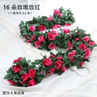 Роза Red-16 головы больших роз