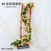 Темно-синий шампанский-69 роза