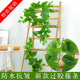 Simulation grape leaves fake flowers rattan vines leaves green leaves water pipe ceiling decoration plastic green dill leaves