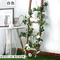 Флуоресцентно-желтые мягкие полоски Shilixiang белого цвета