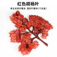 Красный Гайо