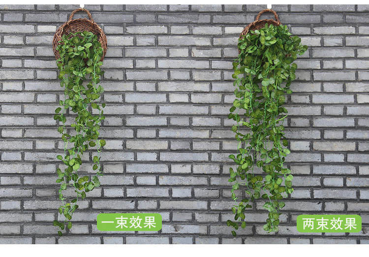 Cây mô phỏng hoa giả mây nho cây xanh treo tường trang trí phòng khách nội thất treo hoa lan trang trí treo tường giỏ lá xanh - Hoa nhân tạo / Cây / Trái cây hoa giả đẹp