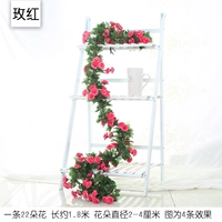 Серебряная 22 голова роза Роза красная