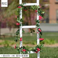 Marquise 24 Iron Wire Rose Rose Red