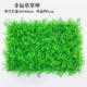 Cây xanh tường mô phỏng cây cỏ trang trí tường trong nhà nền hoa tường màu xanh lá cây treo tường nhựa giả cửa - Hoa nhân tạo / Cây / Trái cây