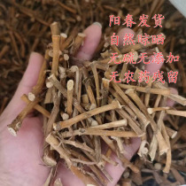 Spring sand Rengan root probe 250 gr and half catty of natural airing dry sarinin root saucepan with water and sun spring special production