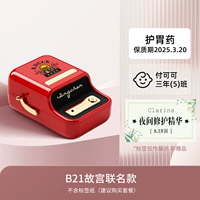 B21 FORBIDED CITY COMIT модели Стандарт