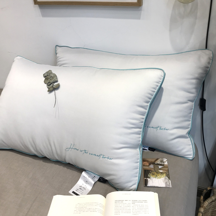 Ultra soft cloud suede pillow inner antibacterial comfort four-color 48 * 74 pillows Single only 2 5 catties of minimalist Skin Double Pillow