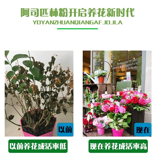 Цветок аспирина цветок муолотический гидрамал, окрашенная в горшок с горшками, кормил добавки, добавленные добавки удобрения.