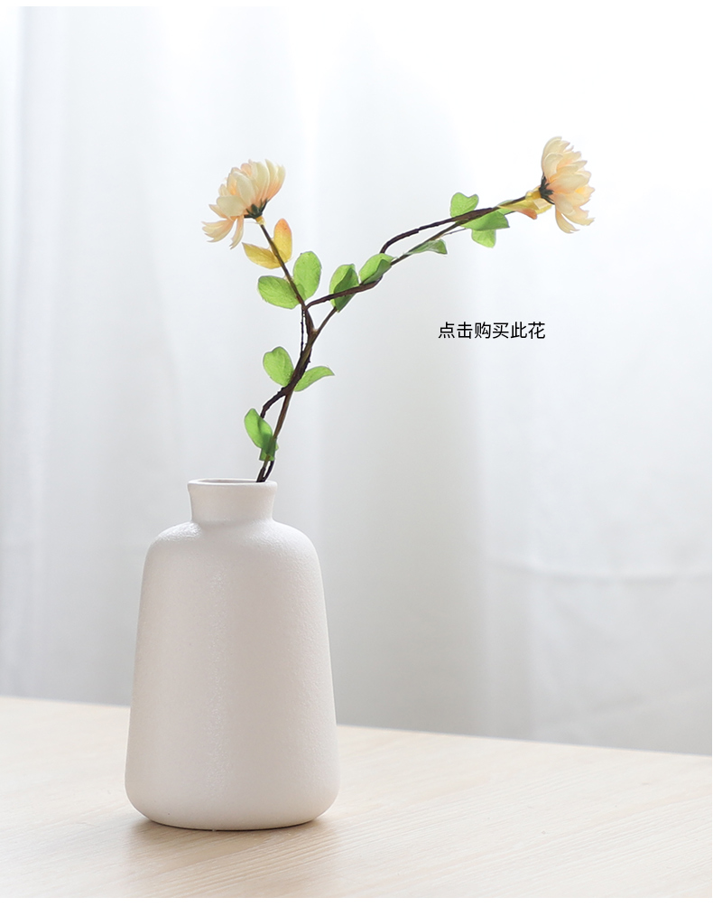 South simulation flowers, dried flowers sheng I and contracted household act the role ofing is tasted ceramic vase hydroponic ins wind flowers, flower arranging furnishing articles