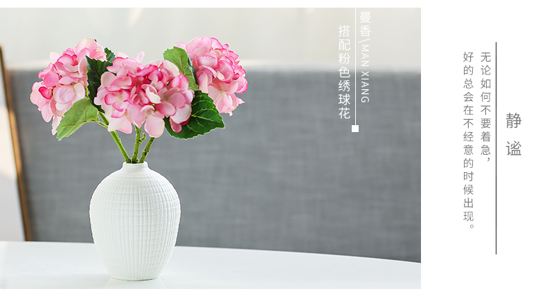 Nan sheng household act the role ofing is tasted the simulation sitting room ceramic vase set mesa place decoration simple ideas