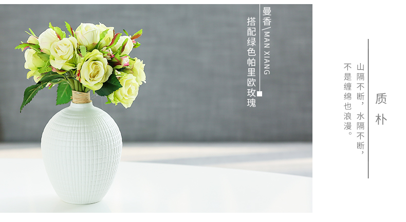 Nan sheng household act the role ofing is tasted the simulation sitting room ceramic vase set mesa place decoration simple ideas