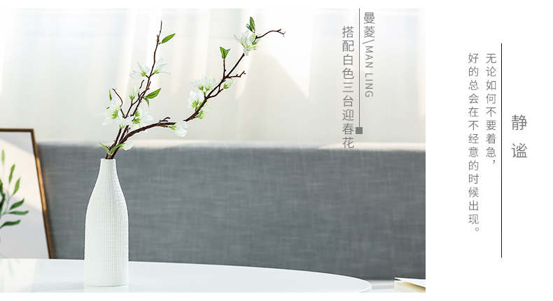 Nan sheng mesa of I and contracted sitting room place adornment simulation flower, dried flower ceramic vase household act the role ofing is tasted