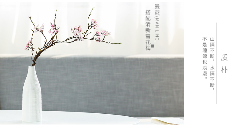 Nan sheng mesa of I and contracted sitting room place adornment simulation flower, dried flower ceramic vase household act the role ofing is tasted