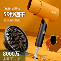 German imported hair salon stylist dedicated silent high-power negative ion protection hair dryer